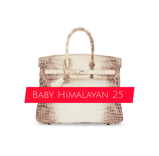 BABY HIMALAYAN BIRKIN 25